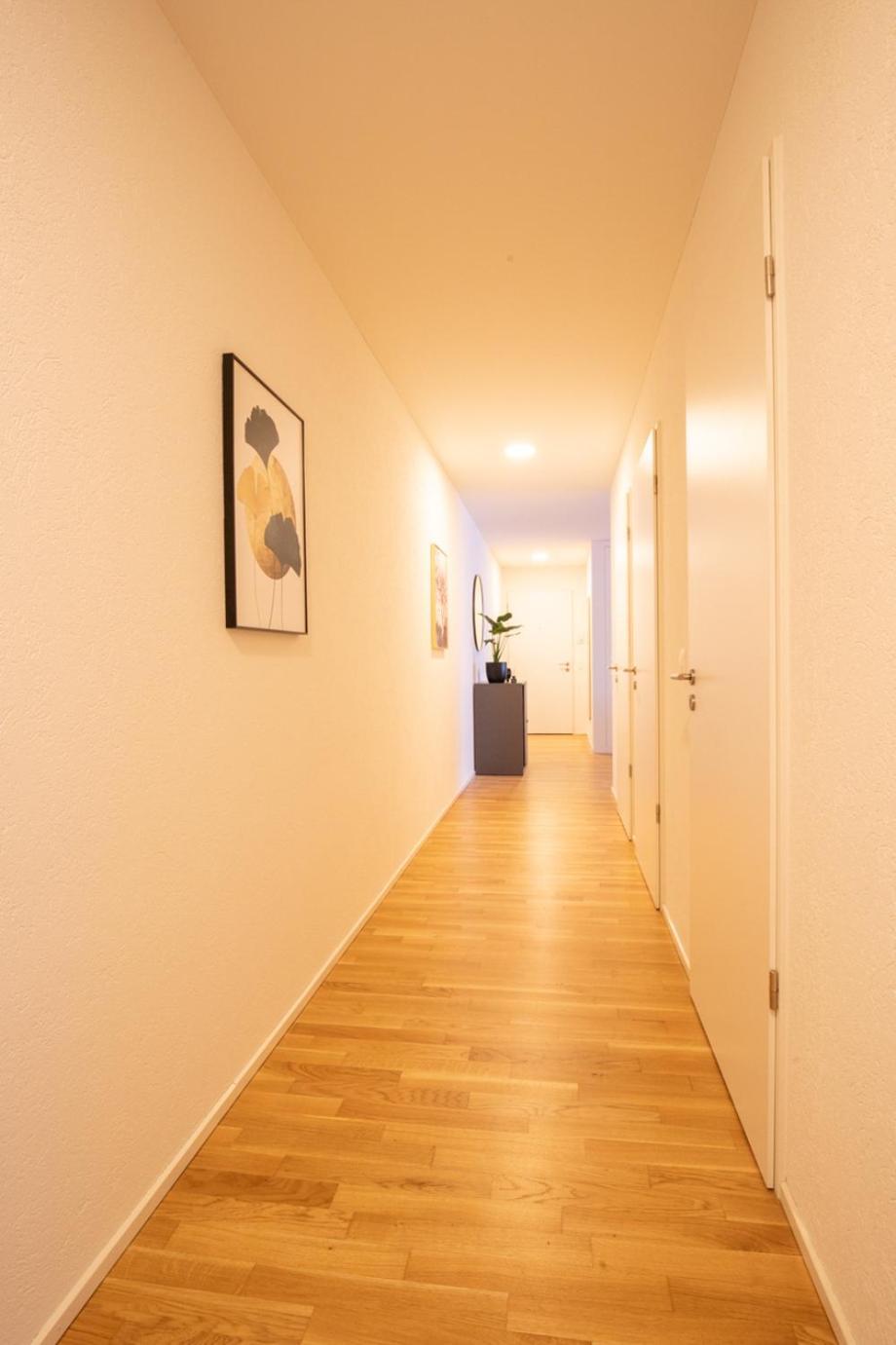Special Einstein II Apartment Basel, Messe Kleinbasel 10-Star מראה חיצוני תמונה