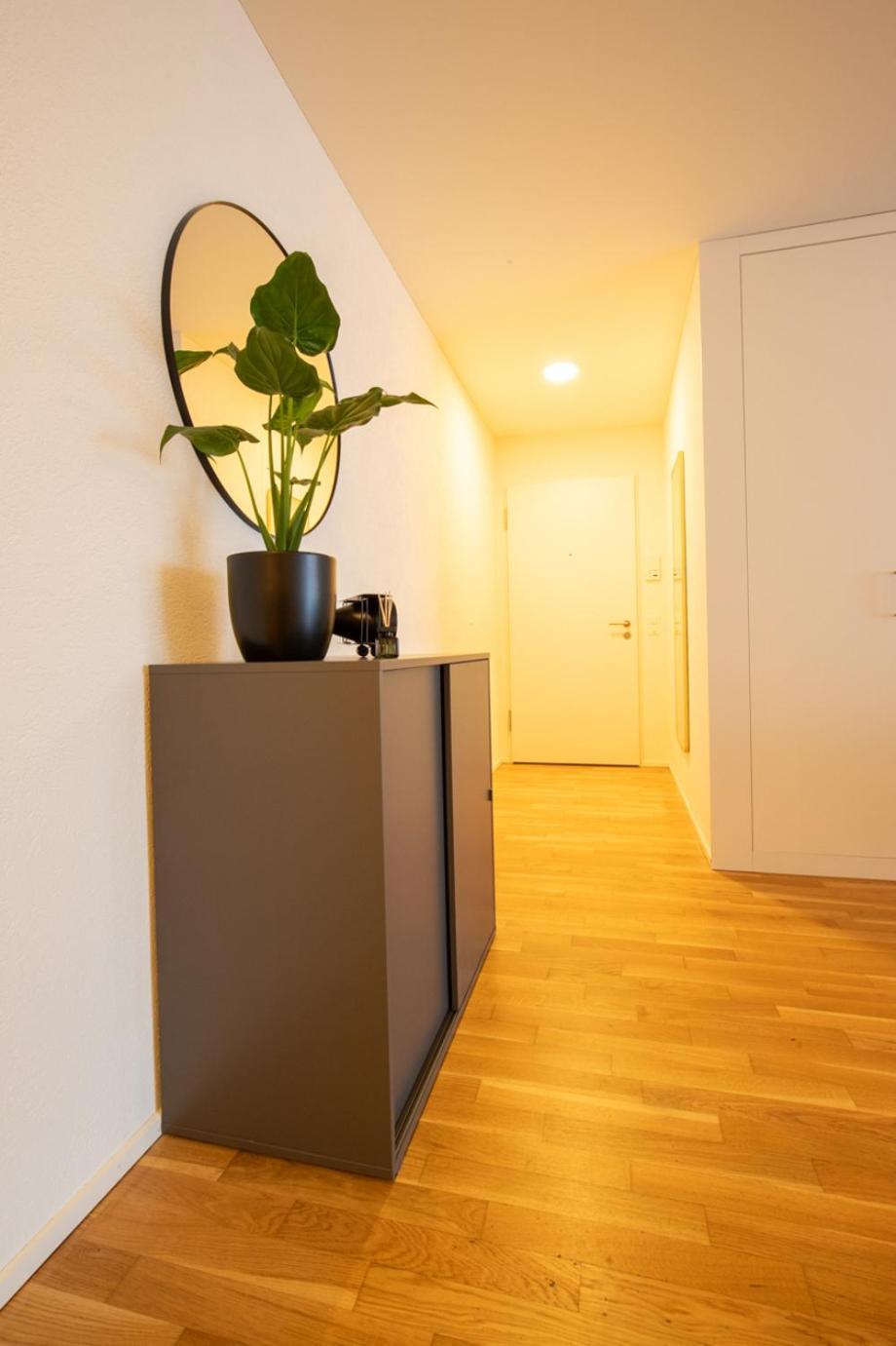 Special Einstein II Apartment Basel, Messe Kleinbasel 10-Star מראה חיצוני תמונה