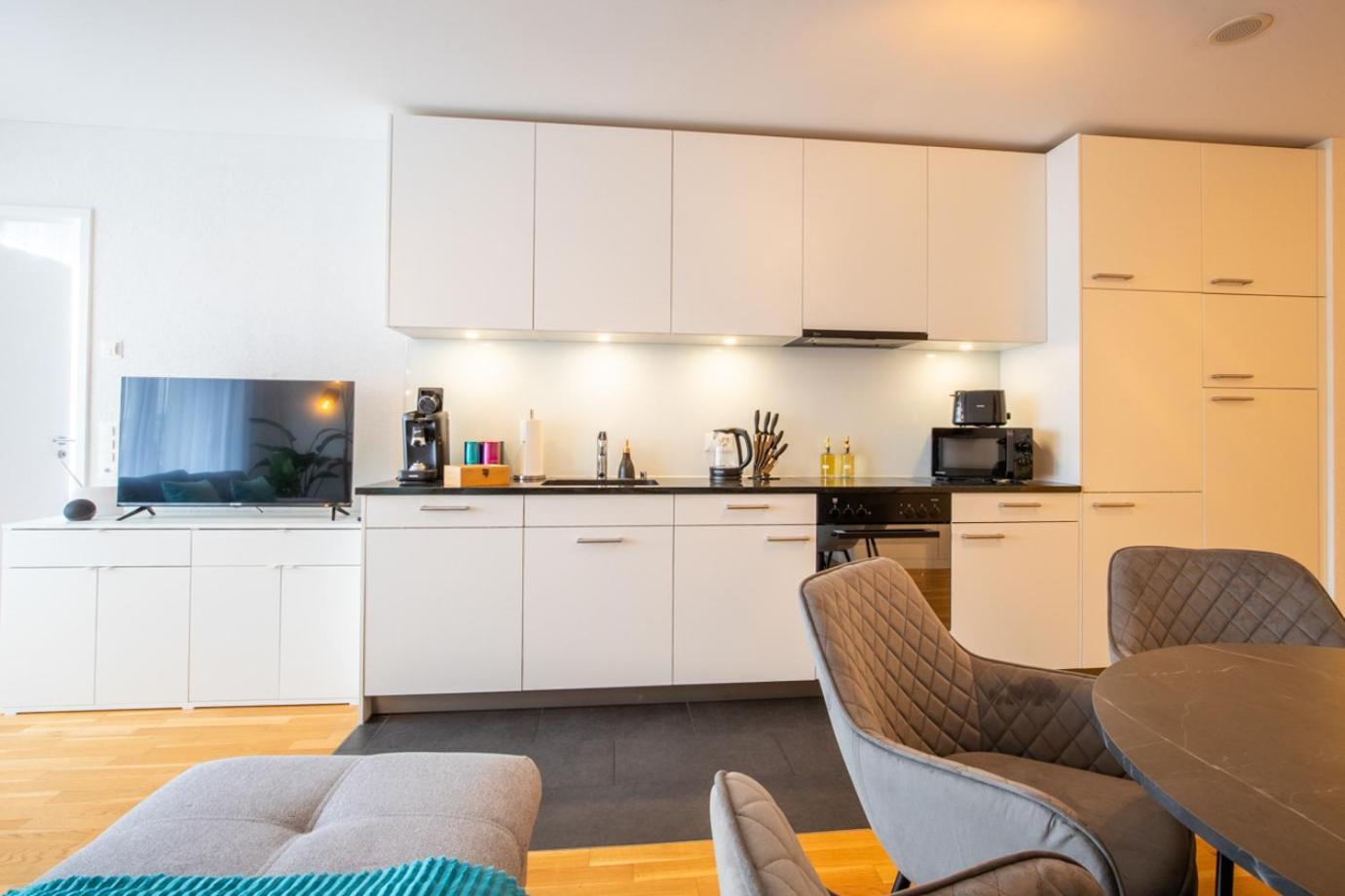 Special Einstein II Apartment Basel, Messe Kleinbasel 10-Star מראה חיצוני תמונה